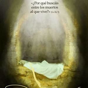 Meet your Posher, Flor